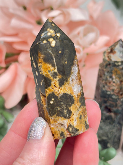 Small Ocean Jasper Points