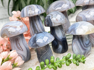 Contempo Crystals - agate-mushrooms - Image 1