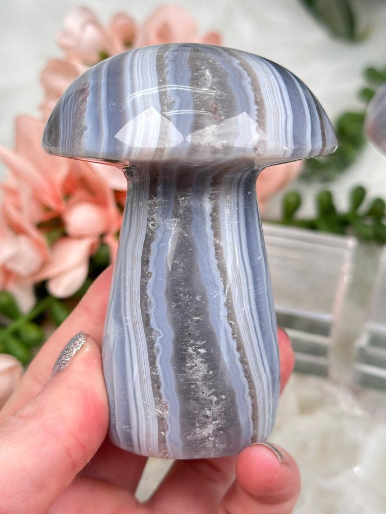 banded-agate-mushroom