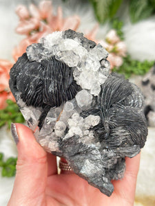 Contempo Crystals - black-magnetite-hematite-rose-with-clear-quartz - Image 16