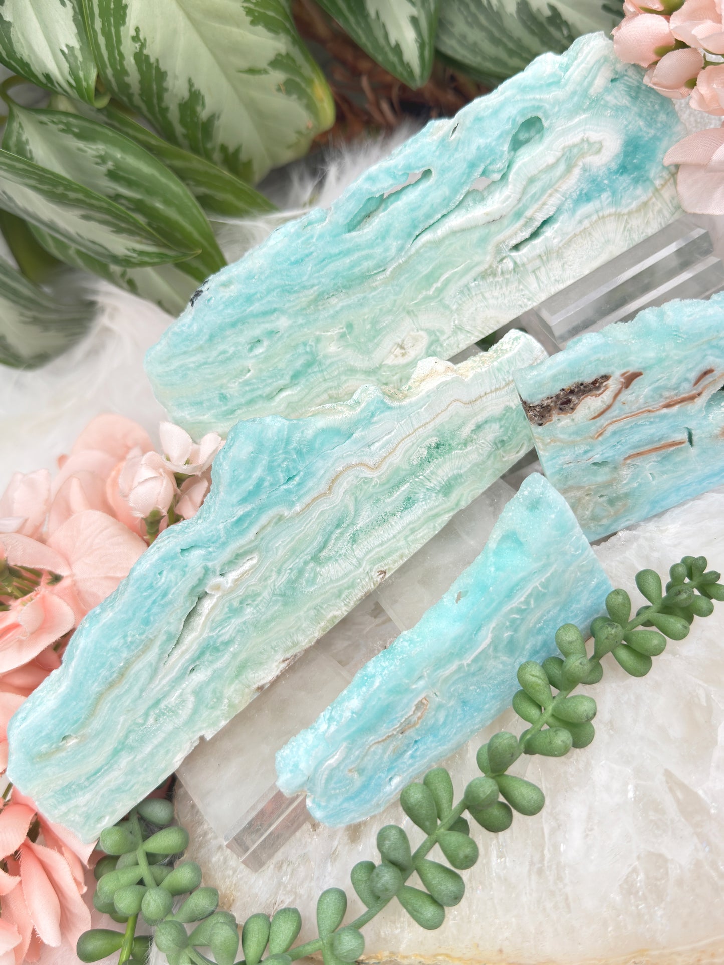 Blue Aragonite Slices