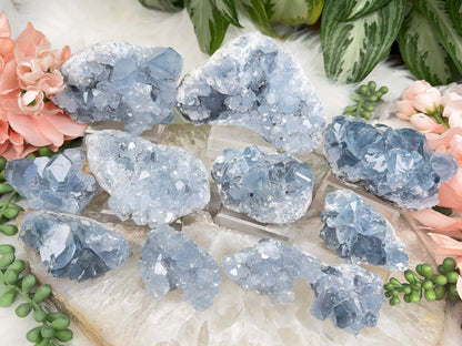 Blue Celestite Crystals