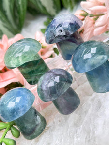 Contempo Crystals - blue-green-fluorite-mushroom-crystals - Image 6