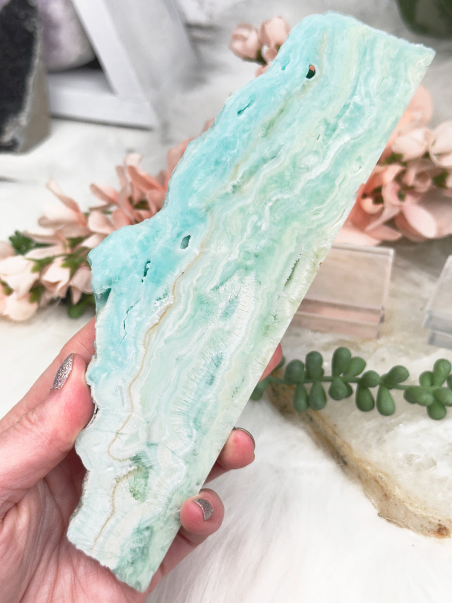Blue Aragonite Slices
