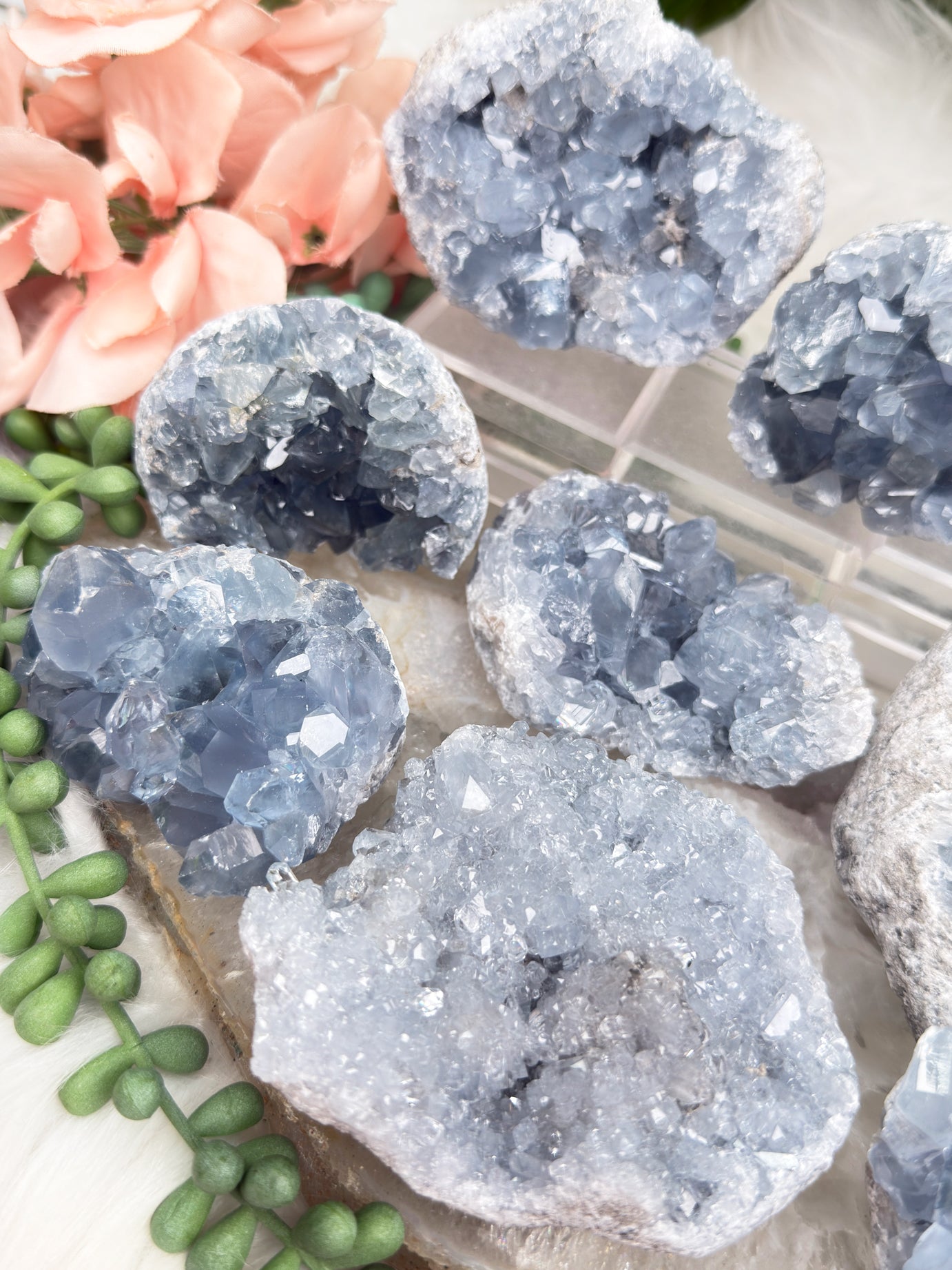 Blue Celestite Clusters