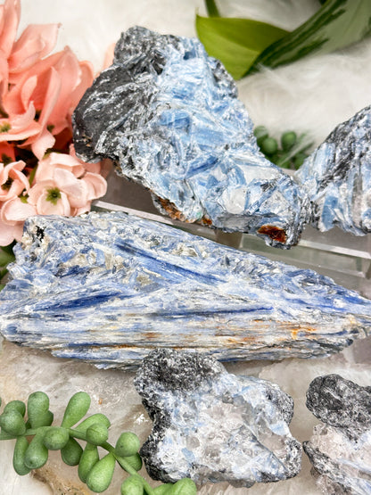 Raw Black & Blue Kyanite