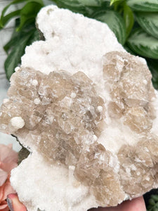 Contempo Crystals - Large Apophyllite Chalcedony Calcite - Image 13