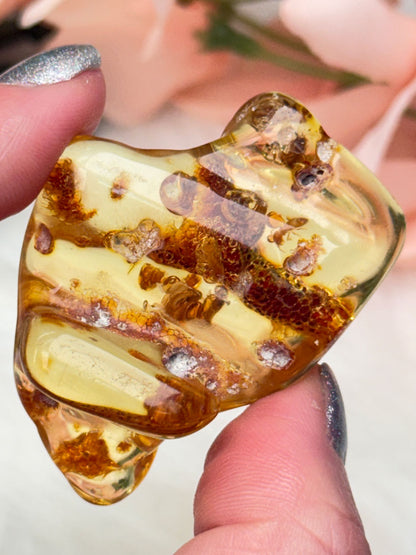 colombian-amber-with-insects