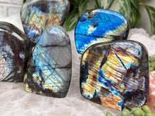 Load image into Gallery: Contempo Crystals - colorful-labradorite-freeform-for-sale - Image 1