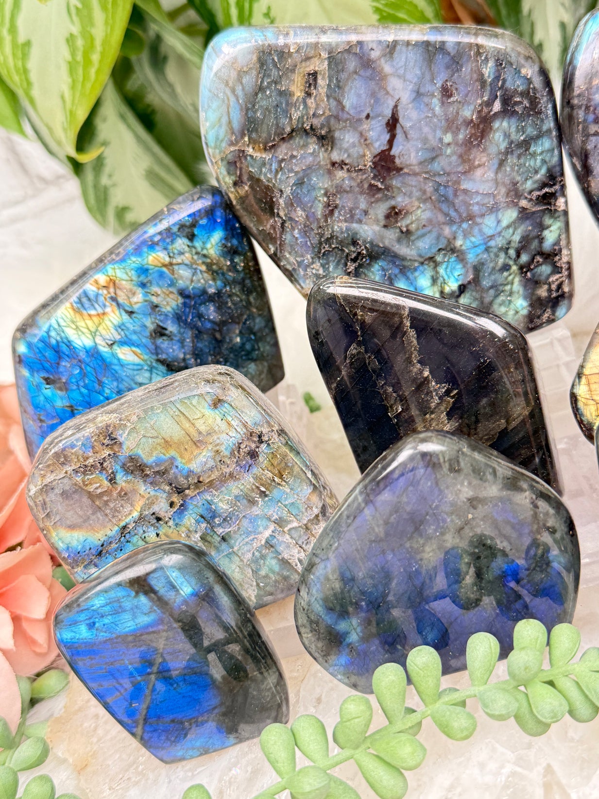 Standing Labradorite Freeforms
