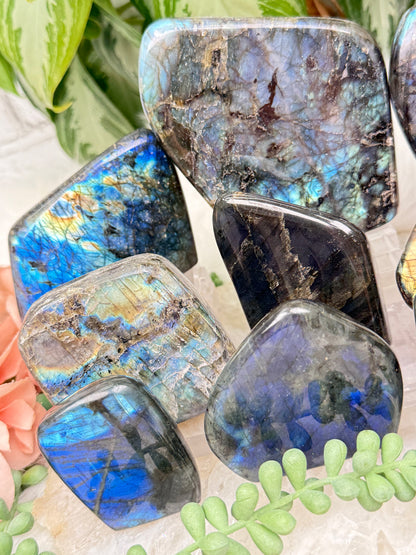 Standing Labradorite Freeforms