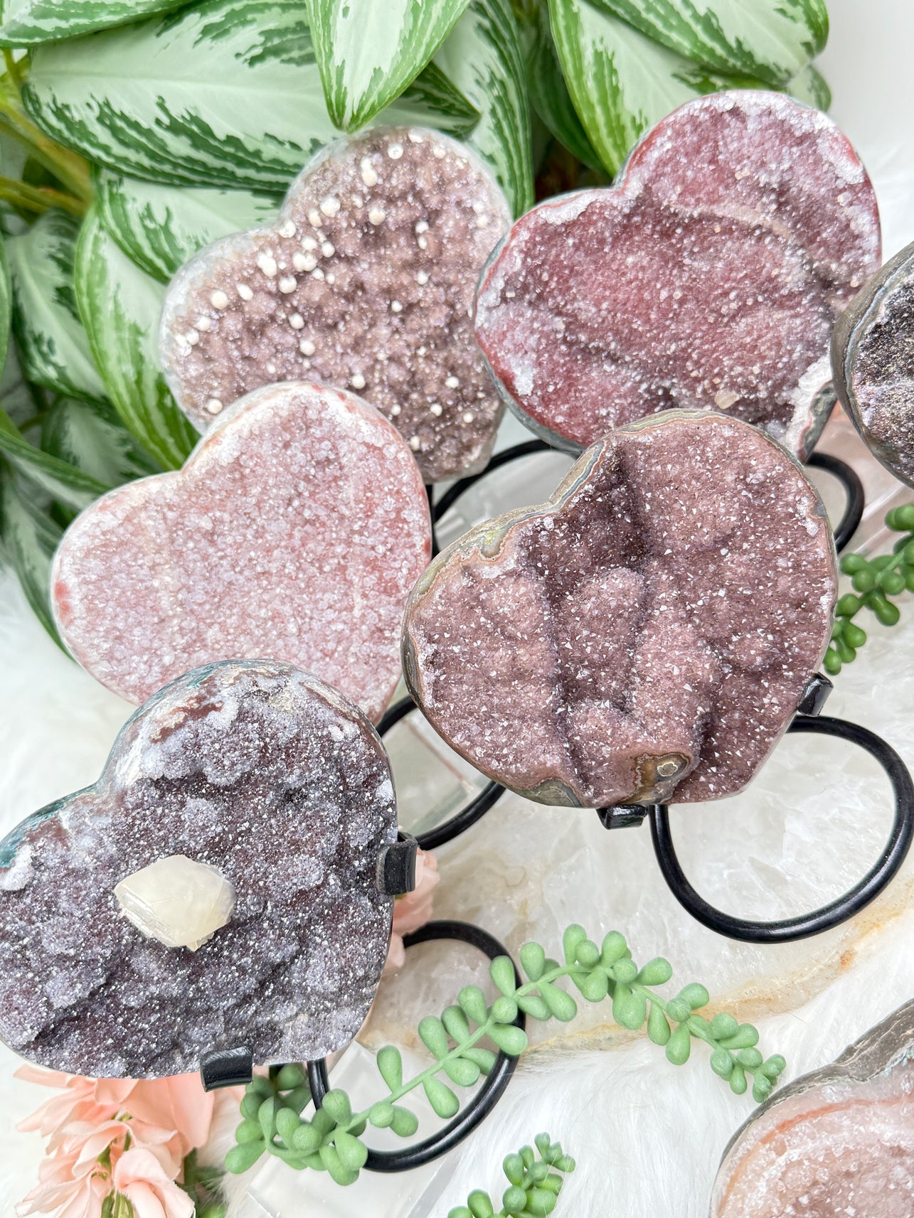 Uruguayan Amethyst Hearts