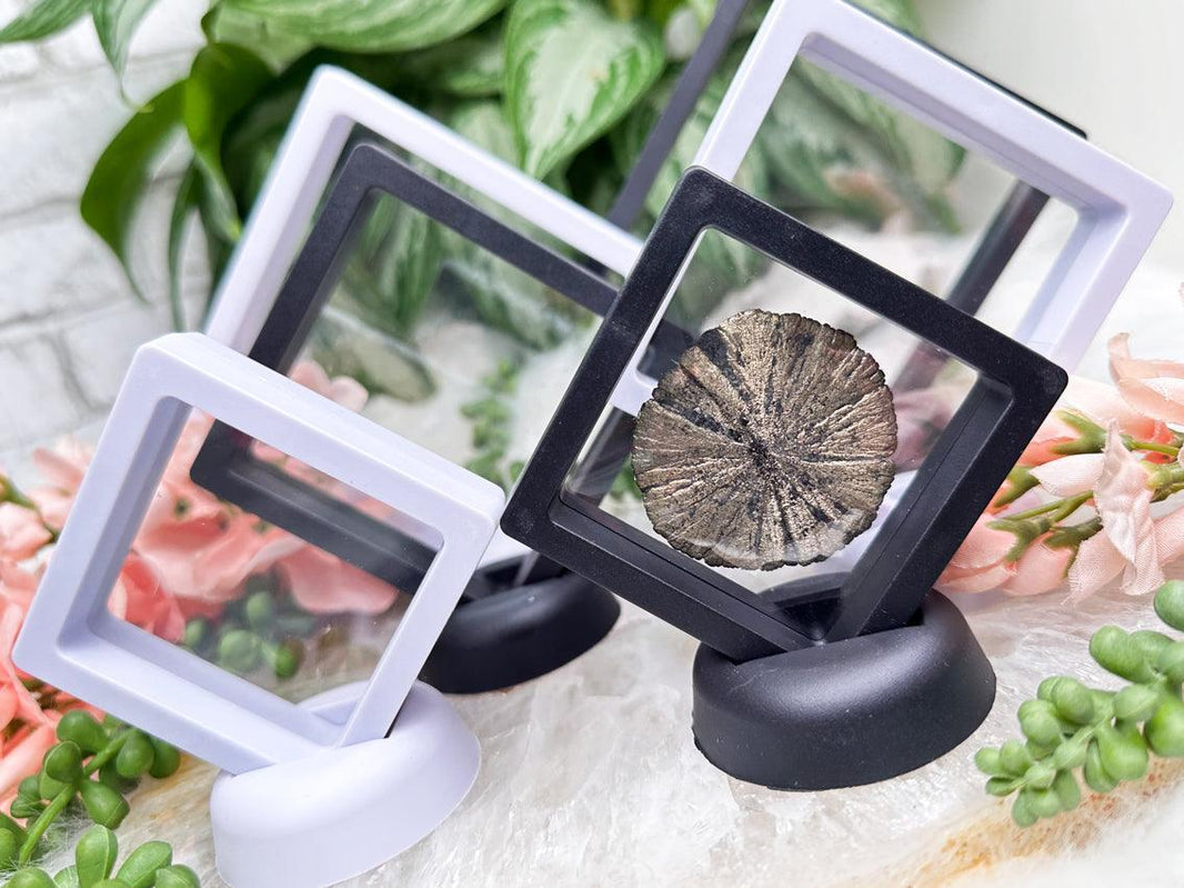 Crystal Holder - Shop Crystal Display Stand Options – Contempo Crystals