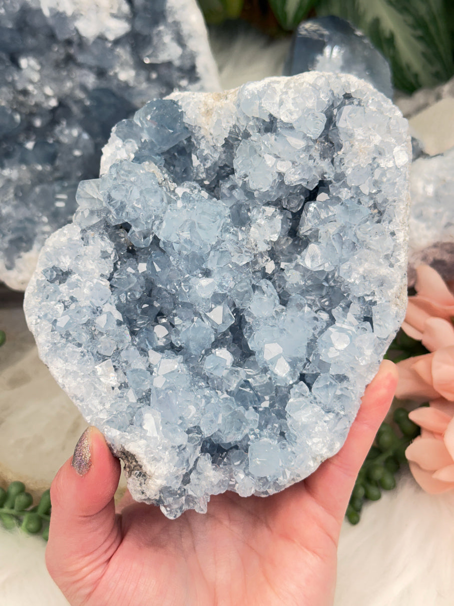 Large Blue Celestite Clusters