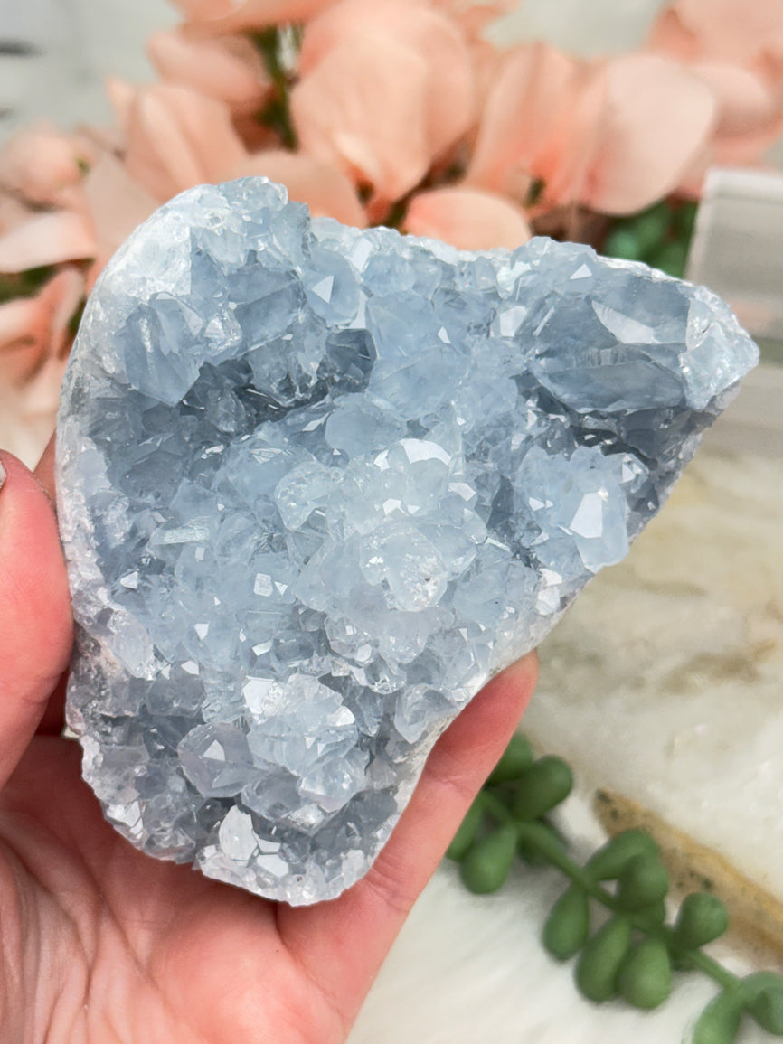 Blue Celestite Clusters