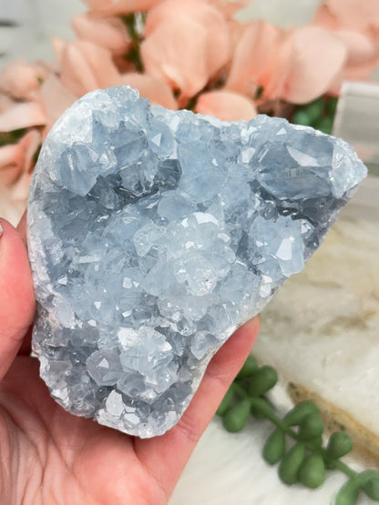 Blue Celestite Clusters
