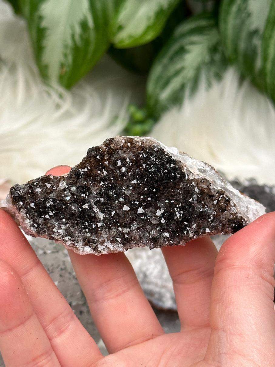 dark-brown-goethite-quartz