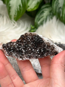 Contempo Crystals - dark-brown-goethite-quartz - Image 12
