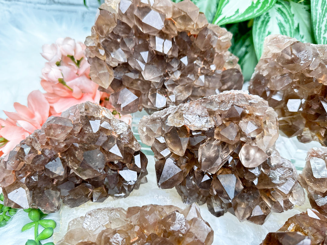 Contempo Crystals - dark-smoky-quartz-clusters-from-brazil - Image 1