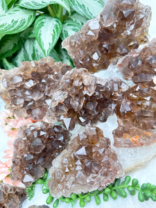 Contempo Crystals - dark-smoky-quartz-clusters - Image 9