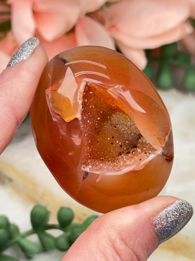 Orange Carnelian Palms