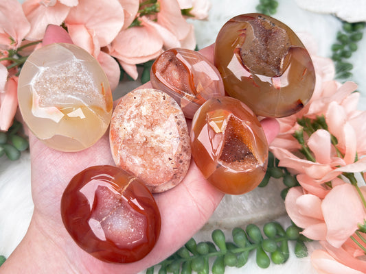 Orange Carnelian Palms