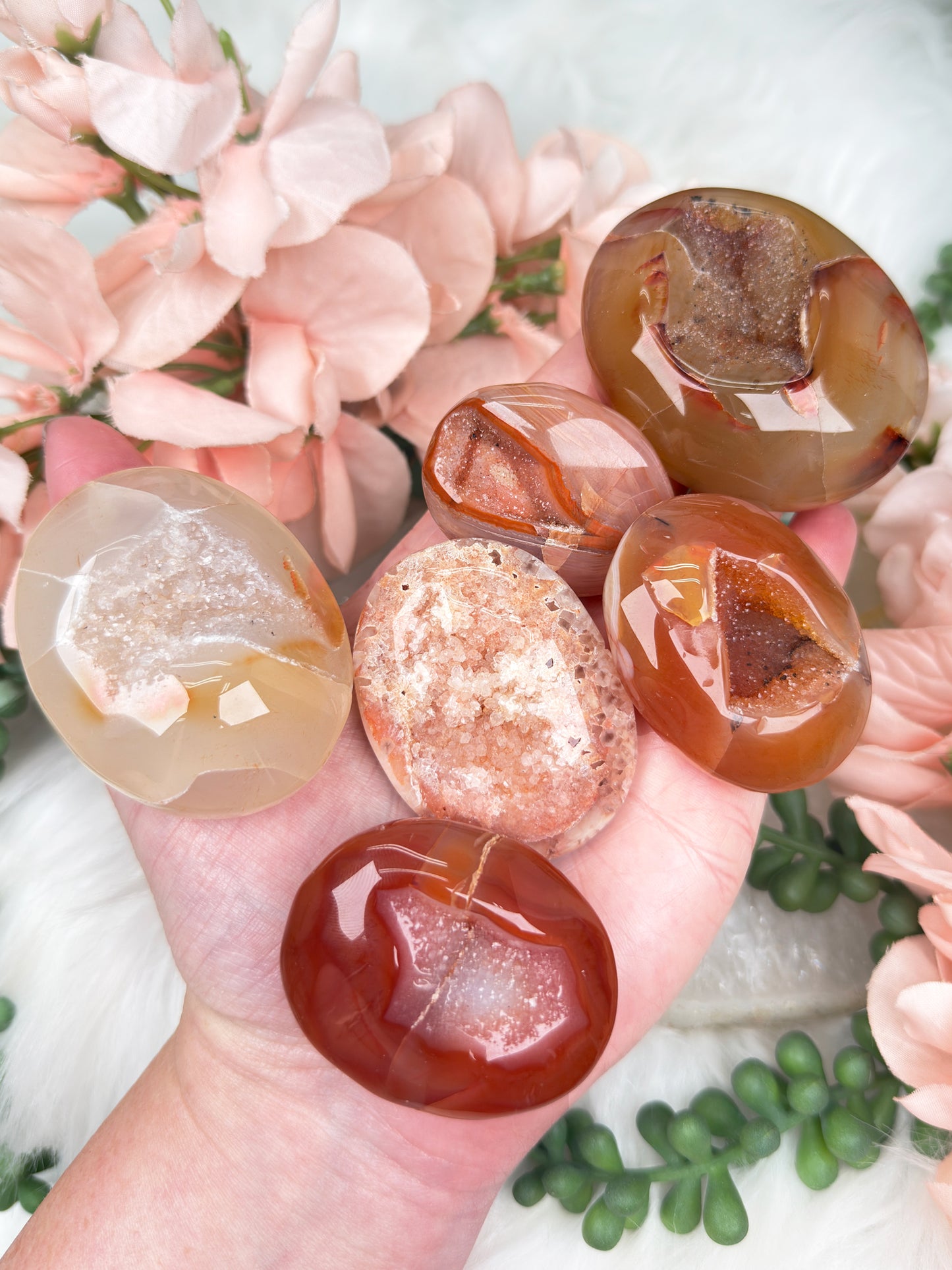 Orange Carnelian Palms