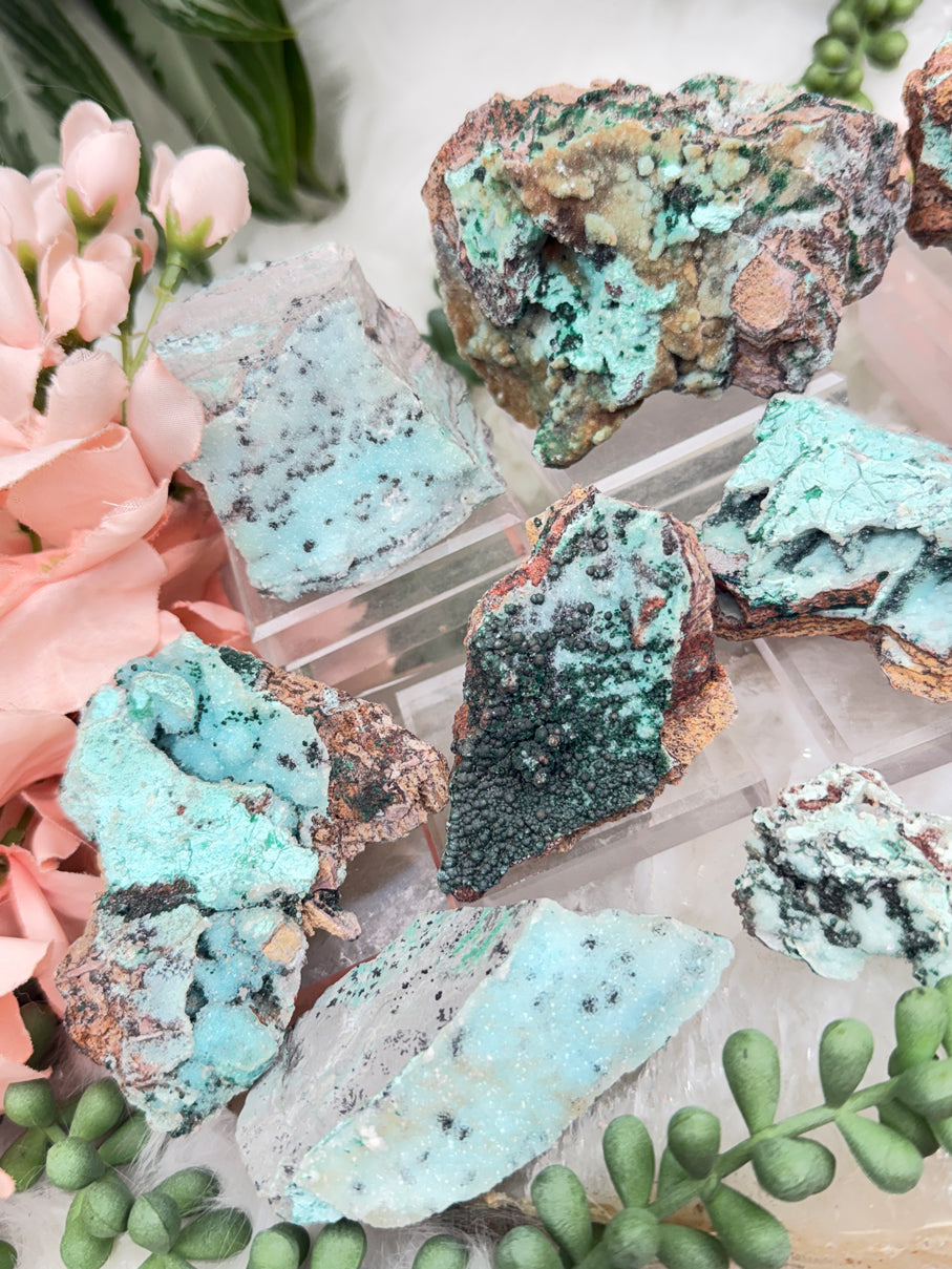 Sparkle Chrysocolla Malachite