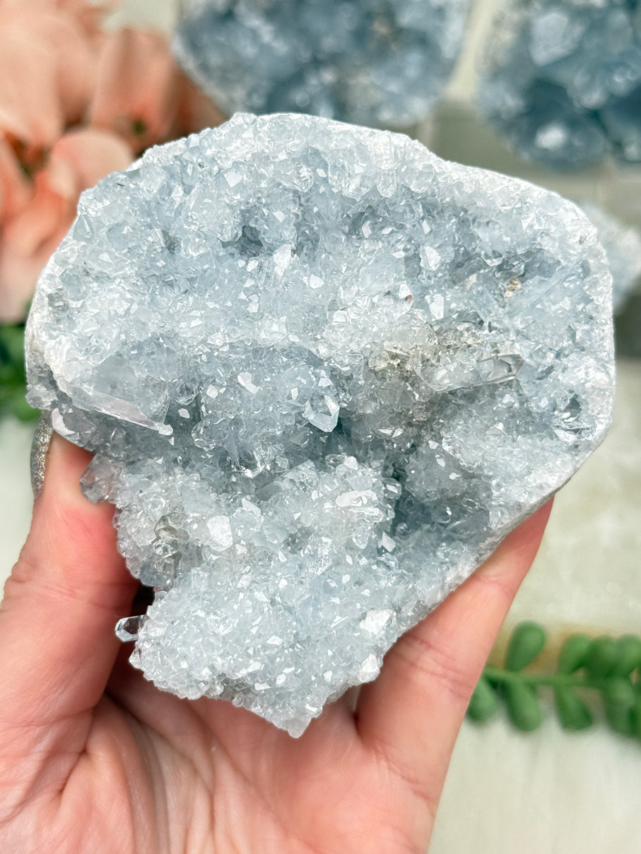 Blue Celestite Clusters