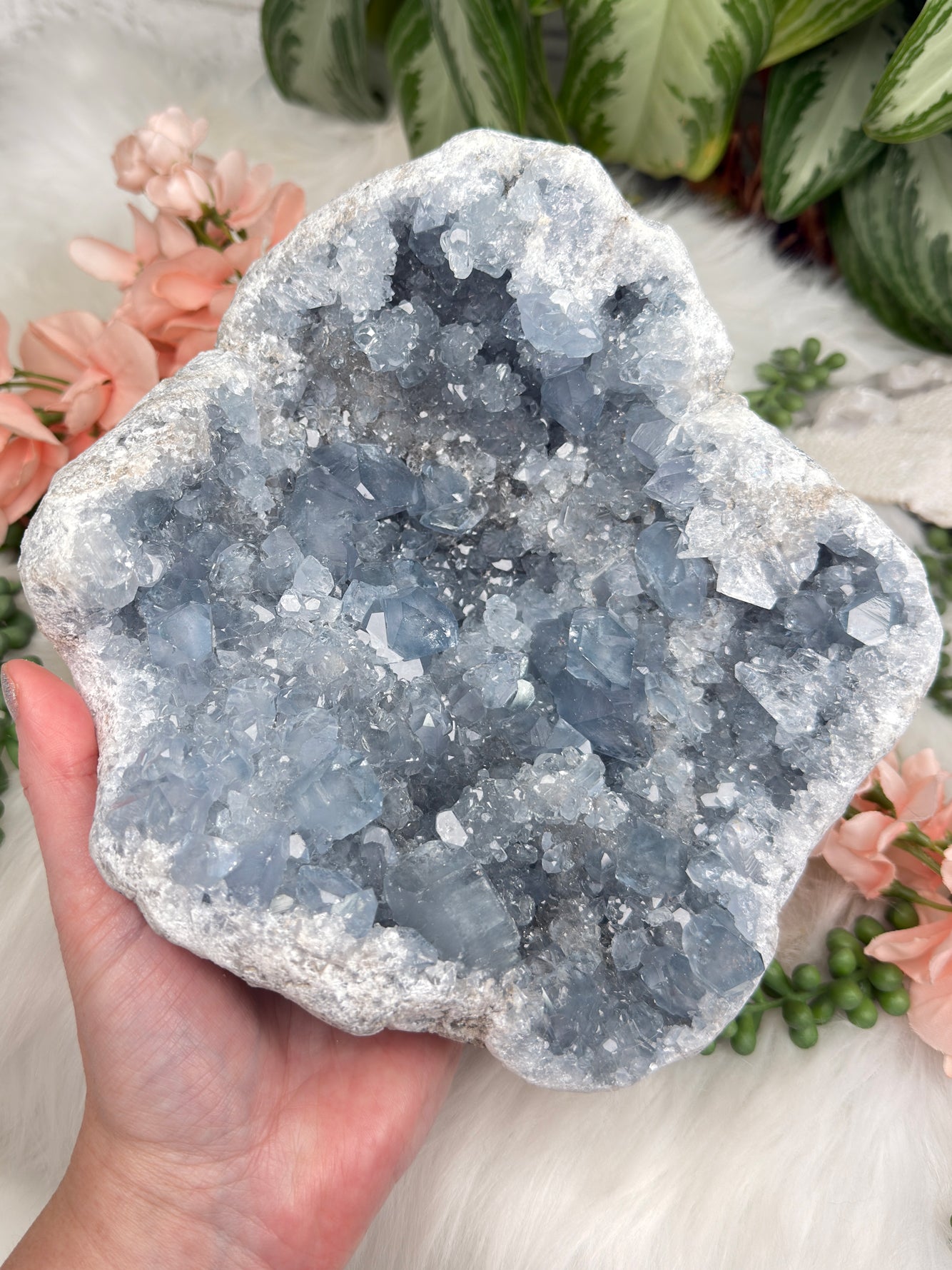 Large Blue Celestite Clusters