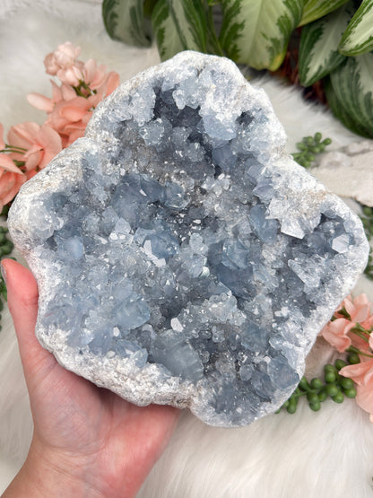 Large Blue Celestite Clusters