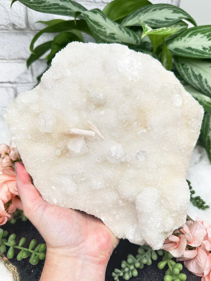 Large Apophyllite Chalcedony Clusters