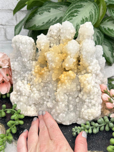 Contempo Crystals - golden-healer-chalcedony-stalactite - Image 4