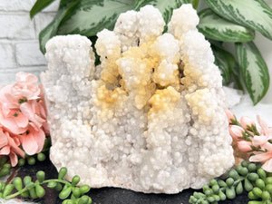 Contempo Crystals - golden-healer-white-chalcedony-stalactite-cluster - Image 1