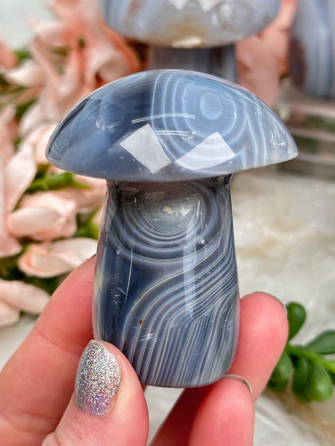 gray-agate-mushroom