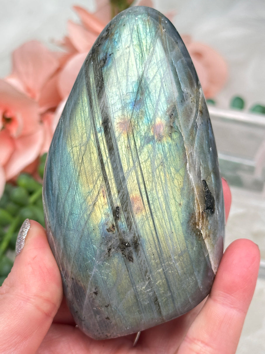 Standing Labradorite Freeforms