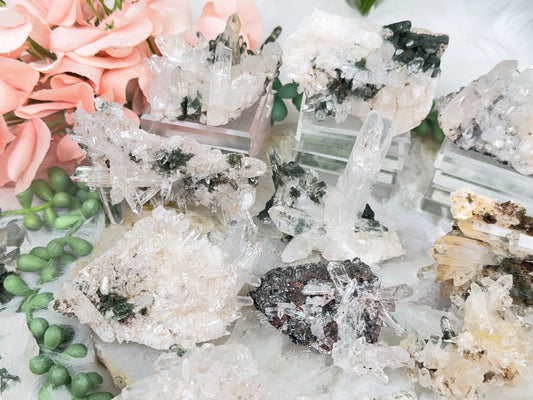Green Chlorite Colombian Quartz