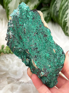 Contempo Crystals - green-malachite-from-morocco - Image 10