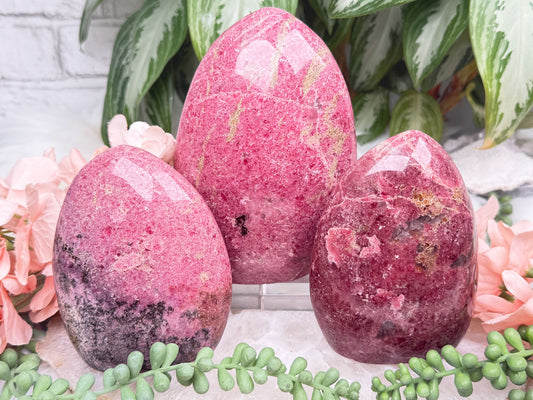 Rhodonite Freeforms (A Grade)