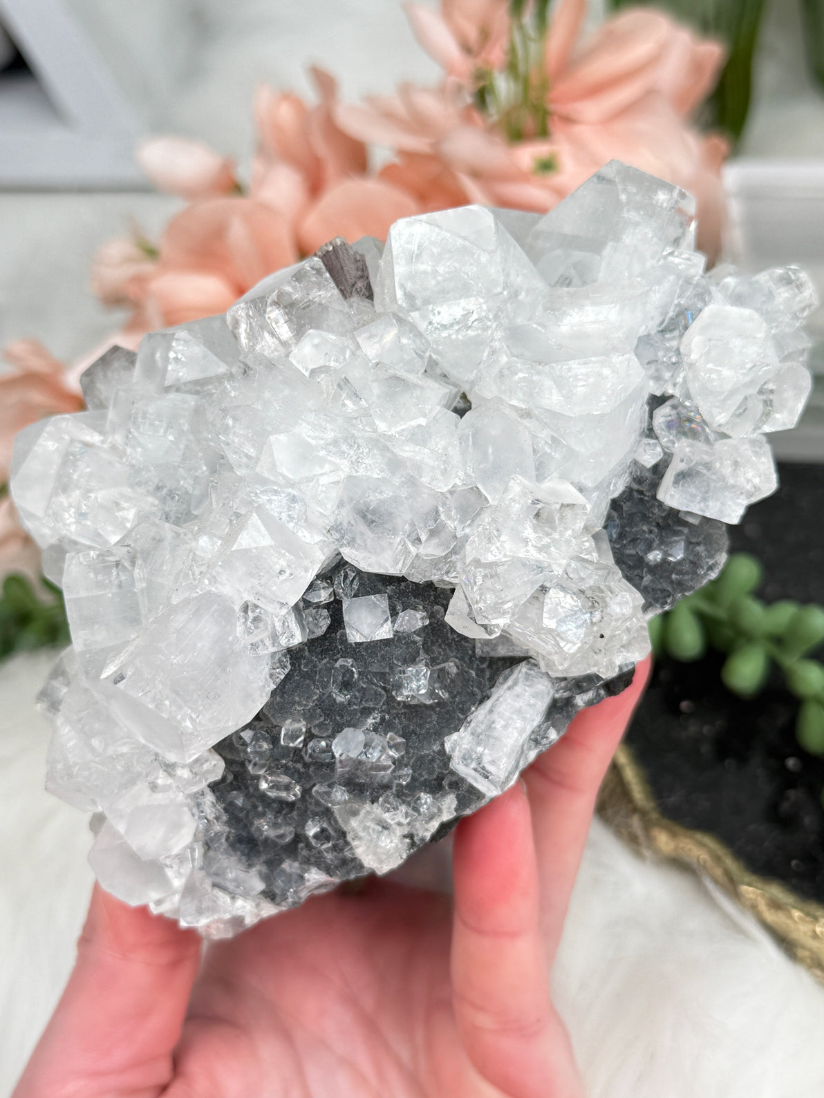 High End Apophyllite