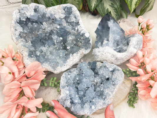 Large Blue Celestite Clusters
