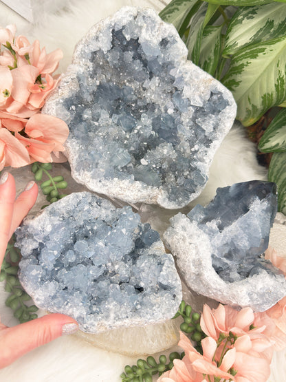 Large Blue Celestite Clusters