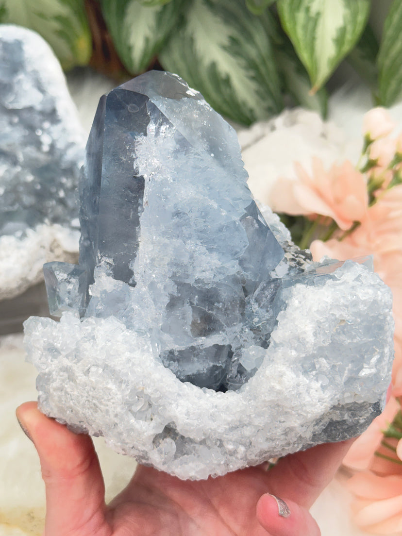Large Blue Celestite Clusters