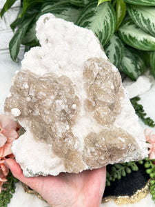 Contempo Crystals - Large Apophyllite Chalcedony Calcite - Image 12