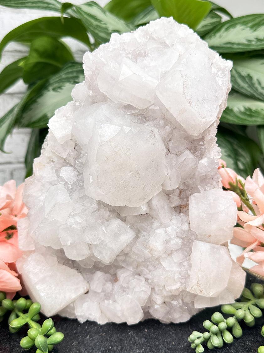 Large Apophyllite Chalcedony Clusters