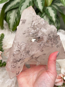 Contempo Crystals - large-natural-double-terminated-point - Image 11