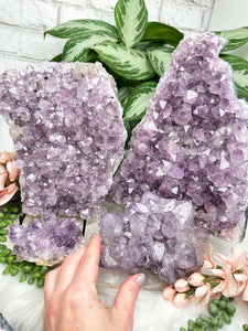 Contempo Crystals - large-purple-amethyst-clusters-from-brazil - Image 7