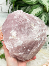 Load image into Gallery: Contempo Crystals - large-raw-rose-quartz-crystal - Image 10
