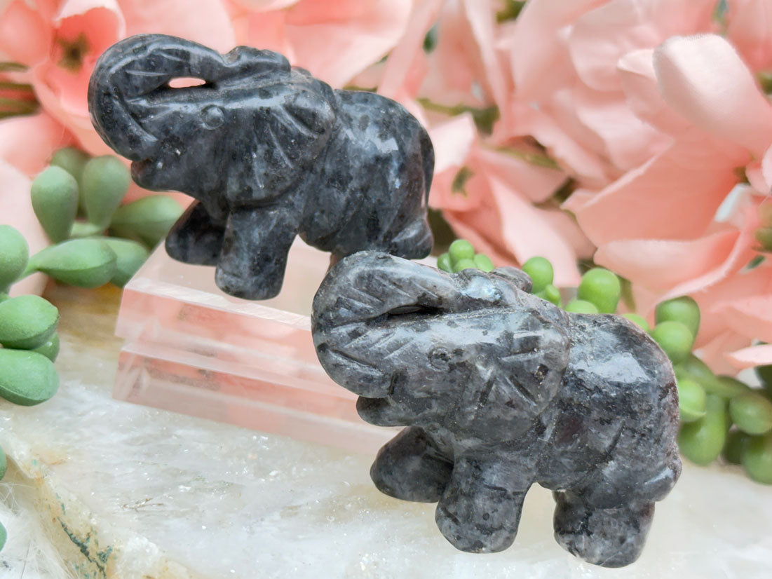 Larvikite Elephant Crystal