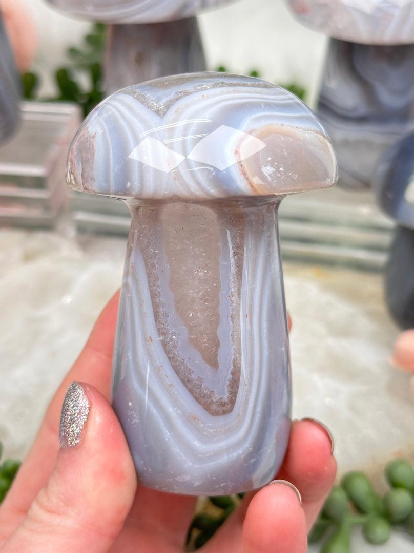 light-gray-agate-mushroom